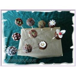Éclats de Joie Sucrée : Cake Pops Gourmands