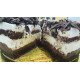 Cake Forêt Noire L’Intensité du Chocolat, la Douceur des Griottes 2kg