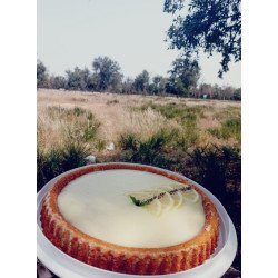 Tartelette Citron Givrée